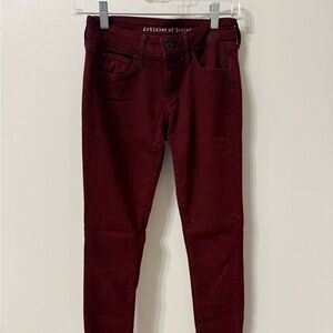 Articles Of Society Women's Skinny Jeans in Rich Burgundy